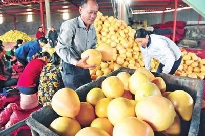 厲害了！湖北19個特產受國家保護，以你家鄉(xiāng)命名食用農產品批發(fā)